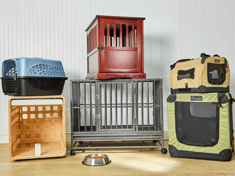 Med Size Dog Cage: Choosing the Right Space for Your Pooch